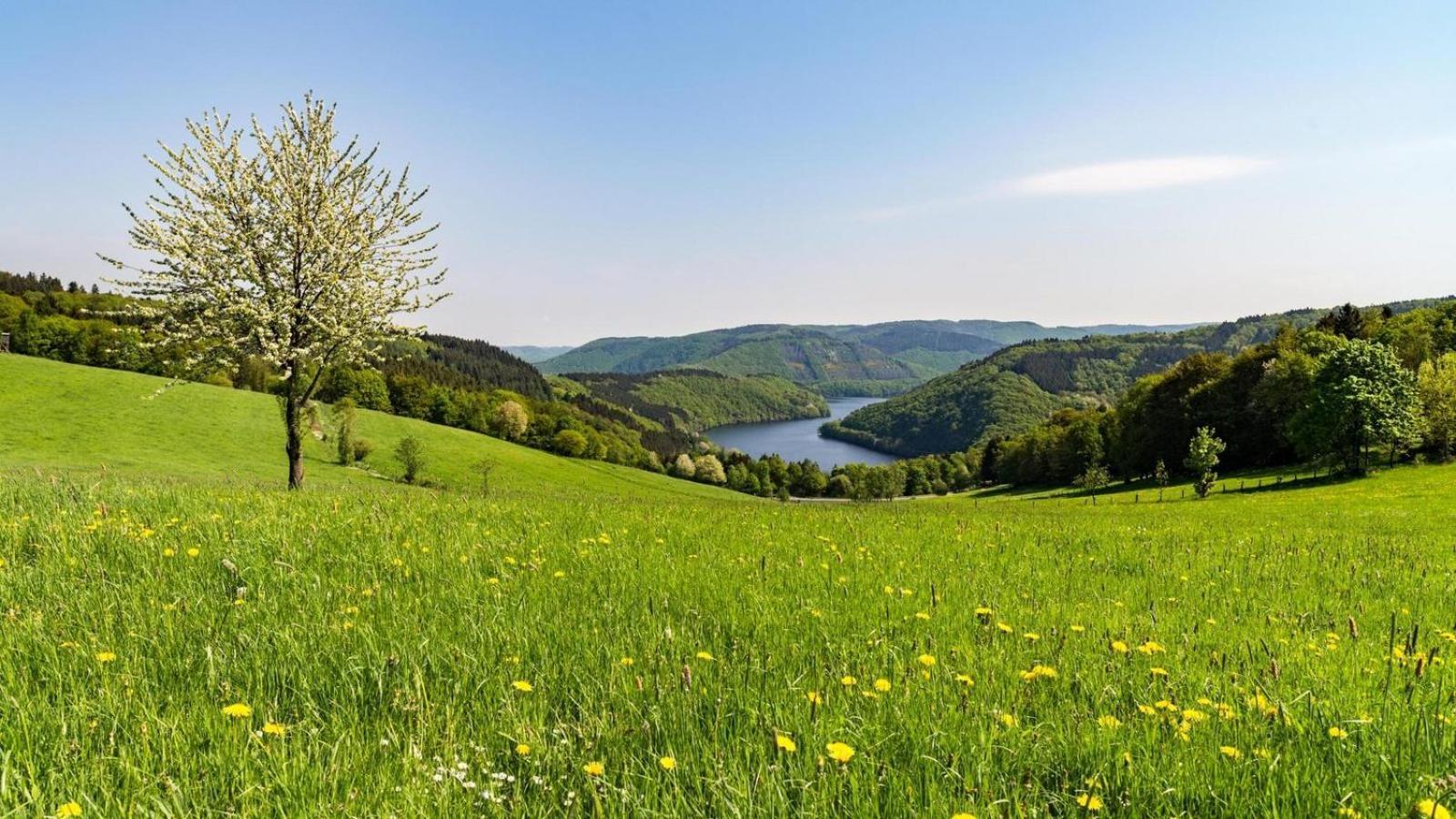 Garni Hotel Im Fachwerkhof Зиммерат Экстерьер фото