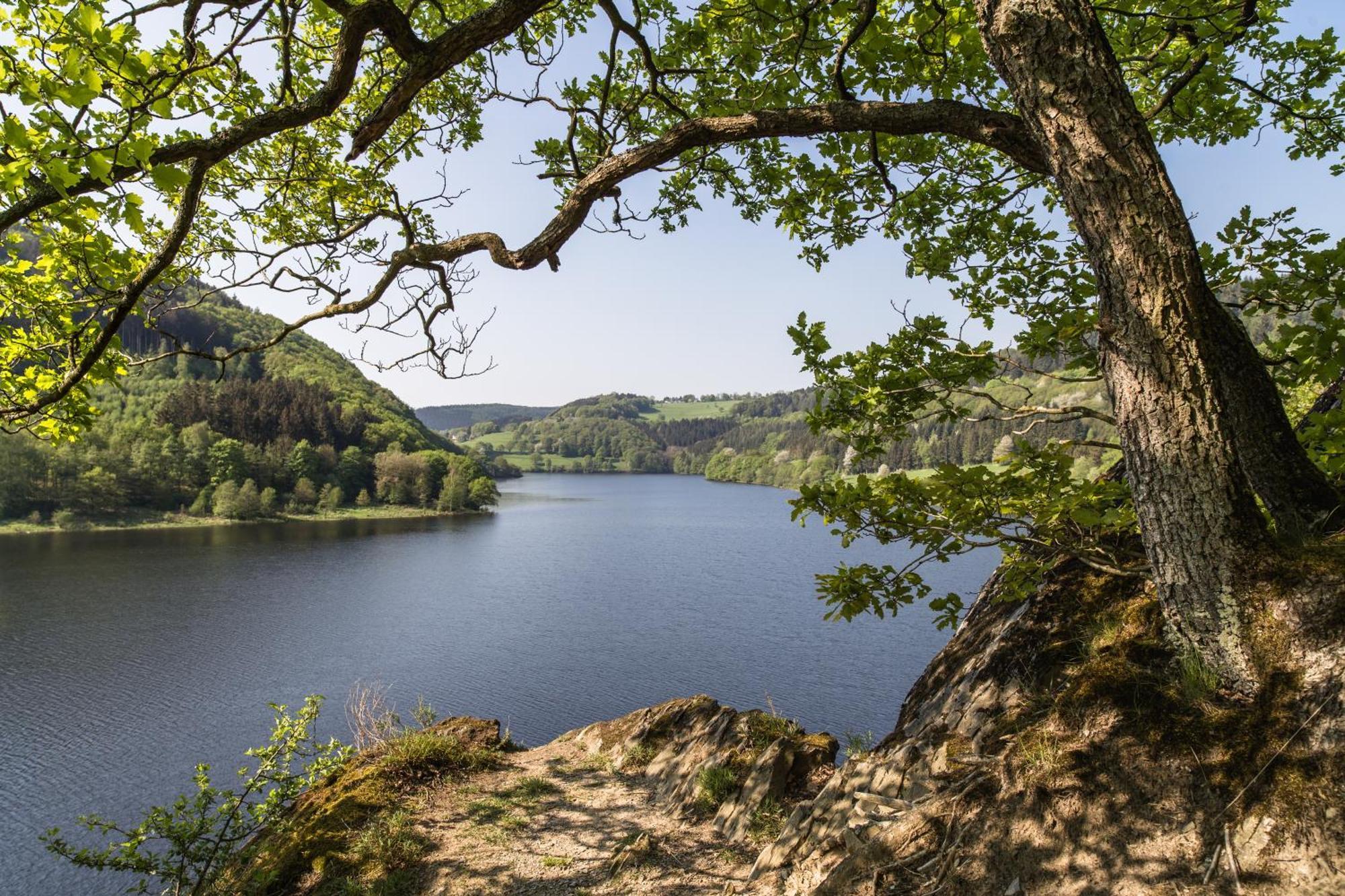 Garni Hotel Im Fachwerkhof Зиммерат Экстерьер фото